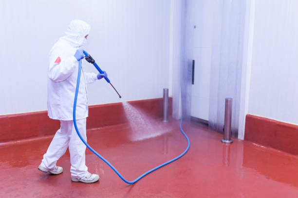 Best Soft Washing  in Holiday Heights, NJ