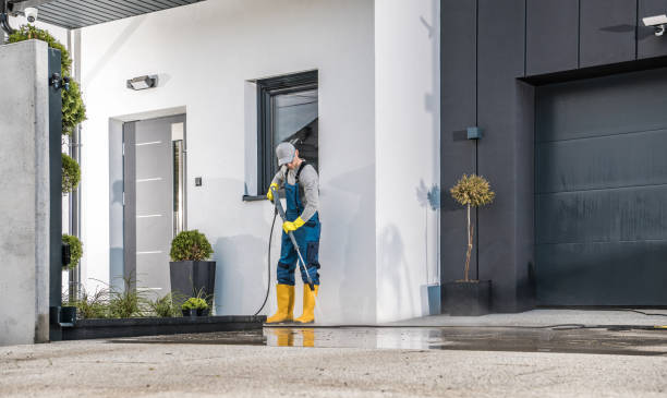 Best Roof Washing  in Holiday Heights, NJ